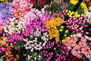 《Apex英雄》第十一赛季“逃脱隐世”实机宣传片